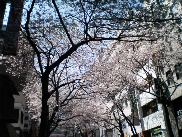 Photo credit: ekkun via Visual hunt / CC BY-NC