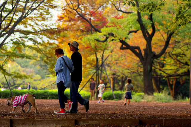 Photo credit: Amehare via VisualHunt.com / CC BY-NC-ND