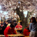 飲食店 春のキーワード 桜・花見（エア花見）・ケータリング