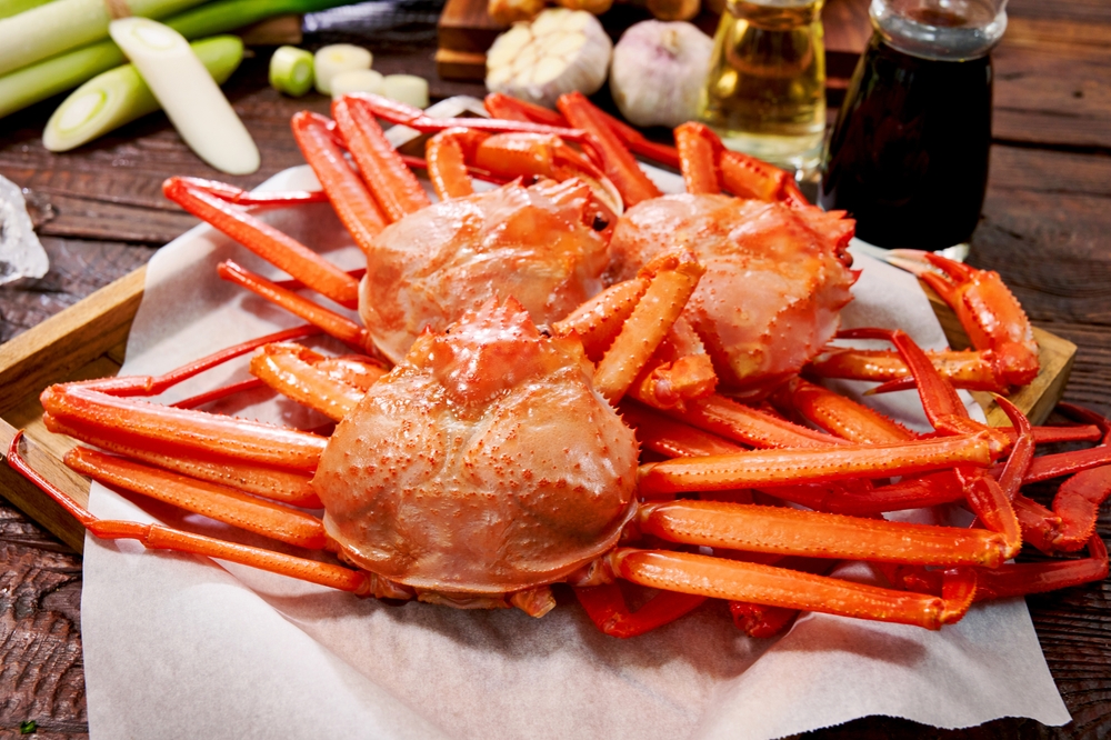 【店サポ今週のまとめ】鎌倉駅から徒歩3分、希少1階貸店舗が募集開始！